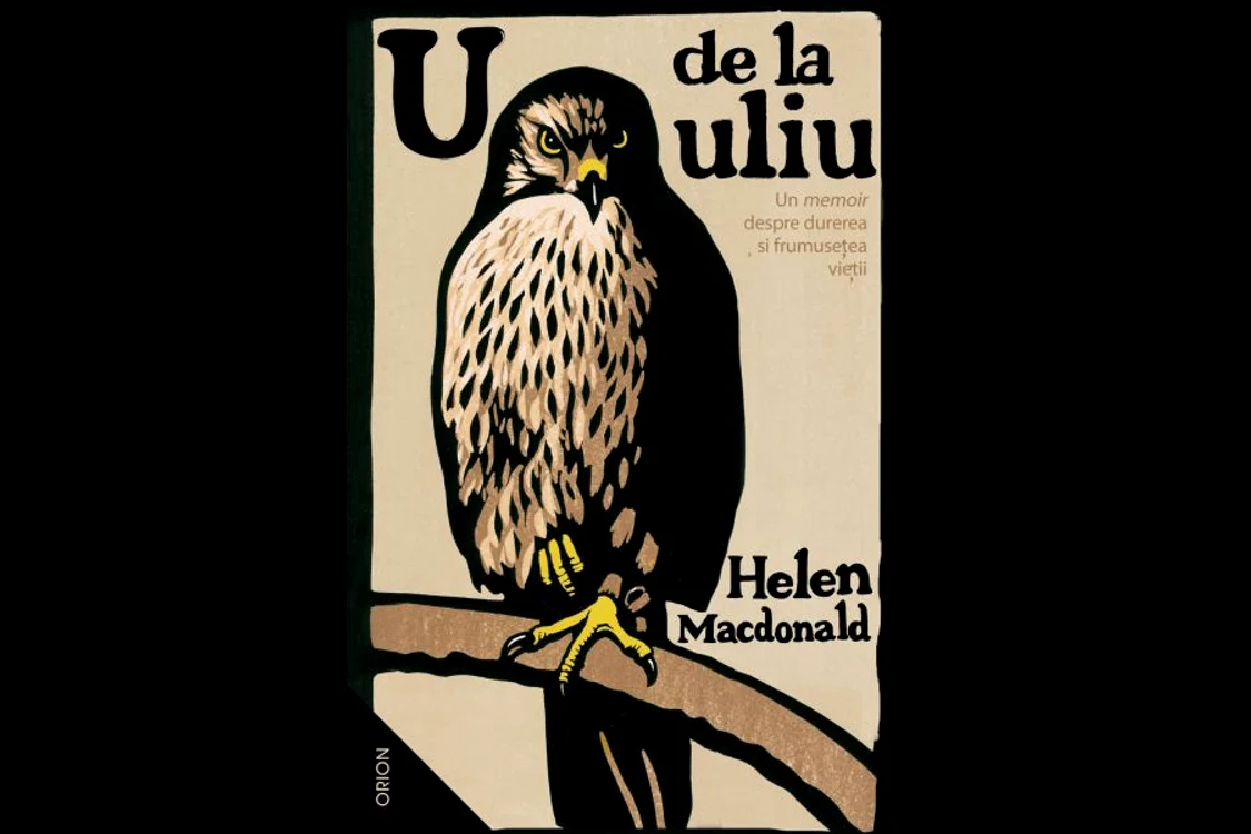 U de la uliu jpeg