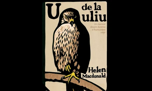 U de la uliu jpeg