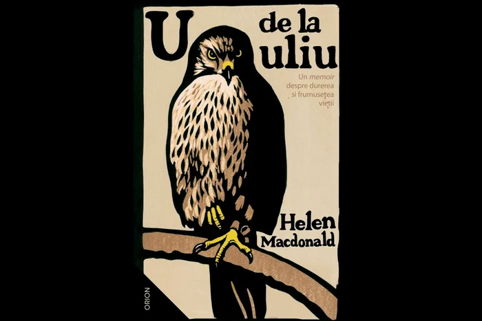 U de la uliu jpeg