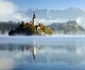 insula bled