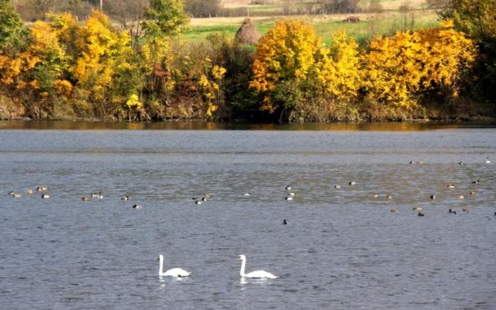 lacul covragiu foto calin pop