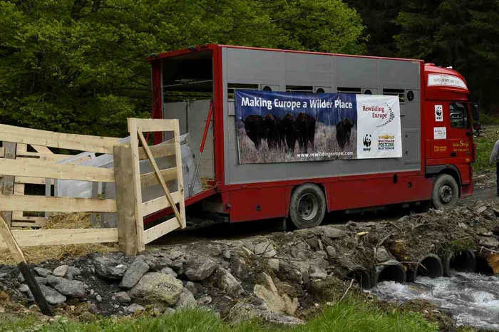 Asociaţia WWF desfăşoară proiecte în toată lumea pentru stoparea degradării mediului înconjurător