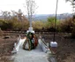 monument husi