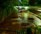 Amenajări florale pe străzile şi în parcurile din Râmnicu Vâlcea Foto Poze şi lucruri frumoase