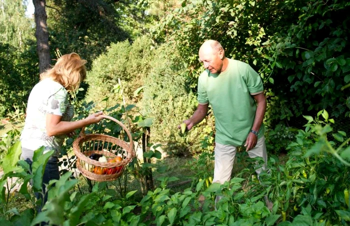 Preşedintele Băsescu, la cules de legume alături de soţia sa FOTO Facebook