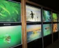 expozitie galleria