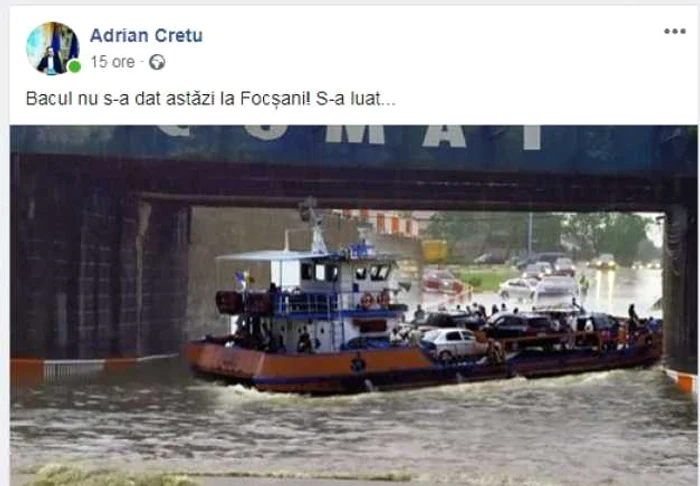 poze hazlii