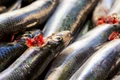 anchovies 6757607 1280 jpg