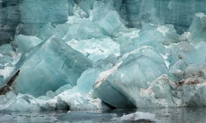 CLIIMA20100807 0147 1 jpeg