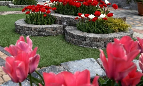 1 74813 original jpg jpeg