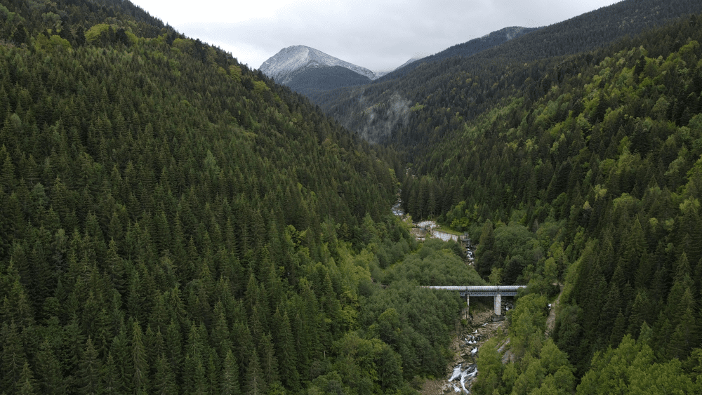 Retrocedarea controversată a Masivului Retezat. Cum au moștenit două austriece, ilegal, 10.000 de hectare
