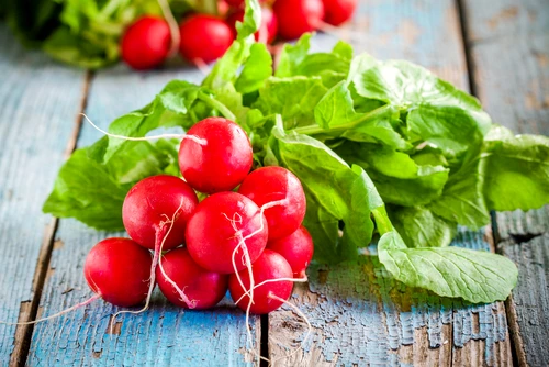 1 shutterstock 267249638 jpg jpeg