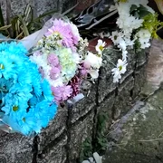 elevi morti accident columbia FOTO DNA INDIA News png