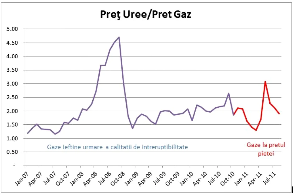 „În perioada analizată 2007 – 2011, au existat perioade în care preţul la uree - preţul produsului obţinut de către beneficiarii gazelor n.r-  a crescut pe piaţa internaţională cu 250%”