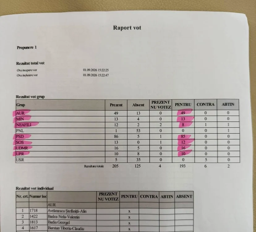 voturi camera deputatilor facebook Diana Stoica jpg