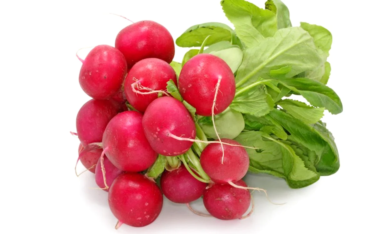 1 ridichi shutterstock 9150574 jpg jpeg