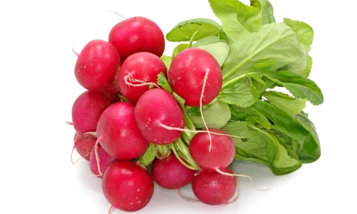 1 ridichi shutterstock 9150574 jpg jpeg