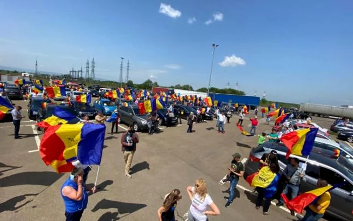 protest rădăuţi tăieri ilegale păduri