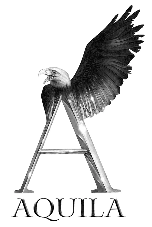 1 AQUILA logo decupat jpg jpeg