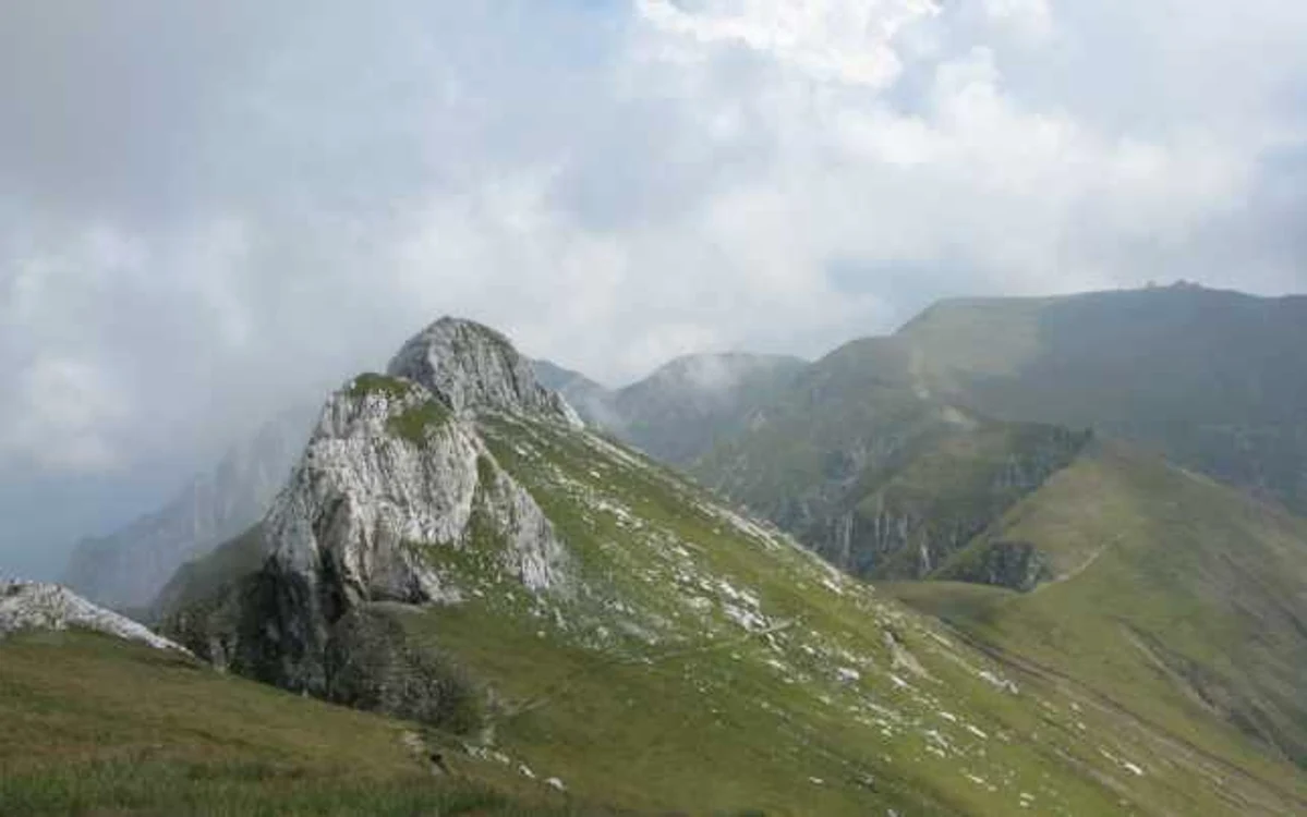 omu