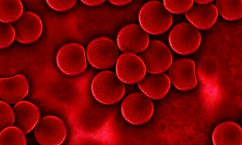 1 73457 original jpg jpeg