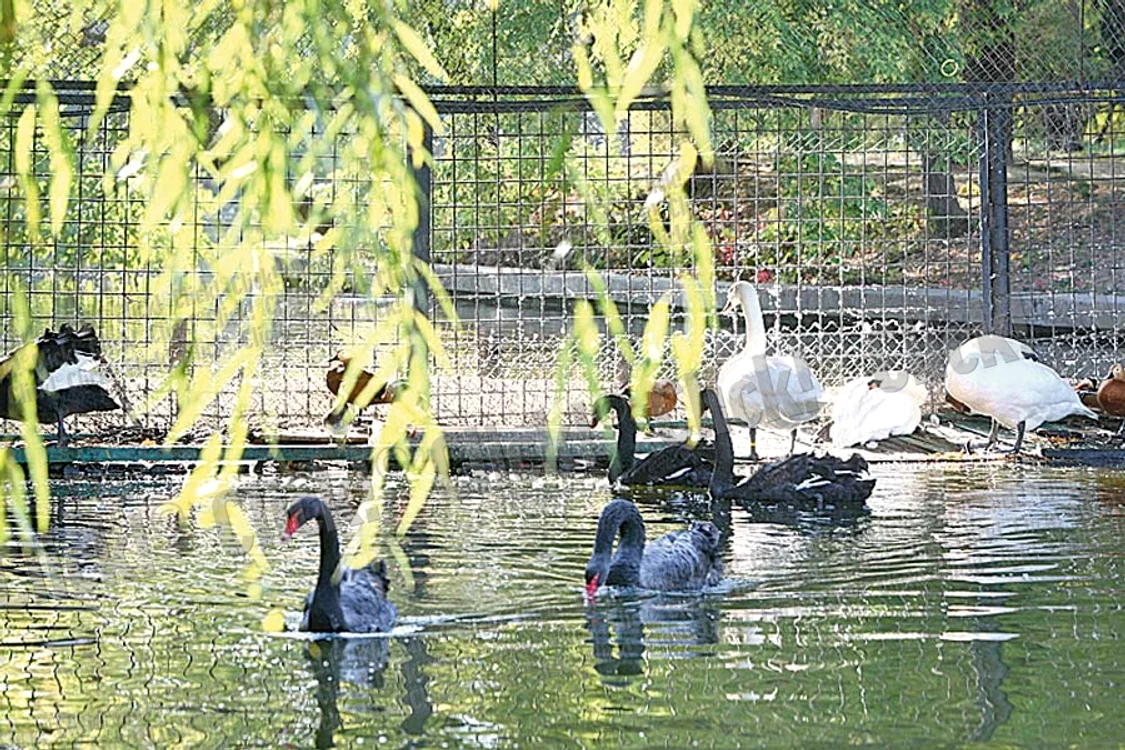 Ce poate fi mai romantic  decât o plimbare cu barca  pe lac, înconjuraţi de nuanţele  calde ale toamnei?