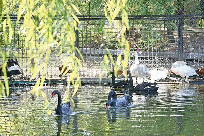 Ce poate fi mai romantic decât o plimbare cu barca pe lac, înconjuraţi de nuanţele calde ale toamnei?