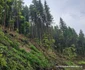 Privelisti de pe Transalpina Pădurenilor Foto Daniel Guță (19) jpg
