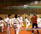 campionat taekwondo bistrita 3