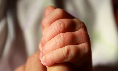 1 68662 original jpg jpeg