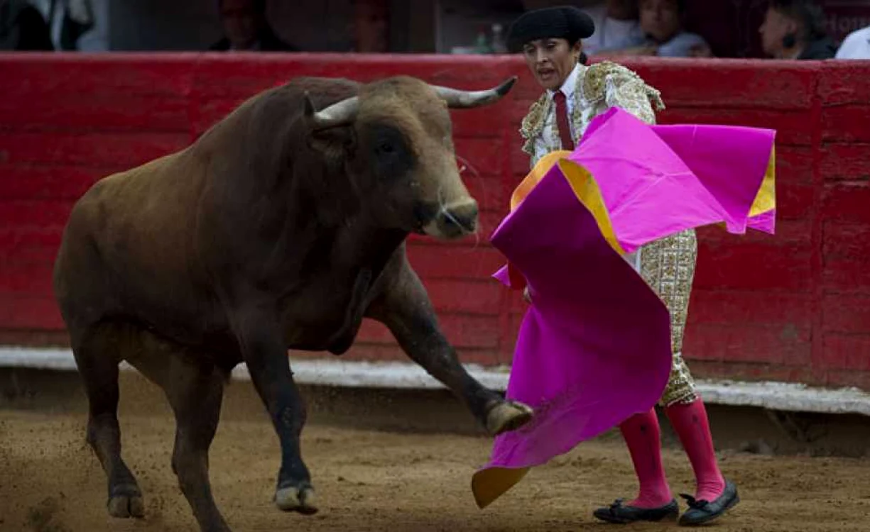 Lupita Lopez distracție în arenă foto AFP/YURI CORTEZ