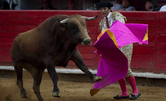 Lupita Lopez distracție în arenă foto AFP/YURI CORTEZ