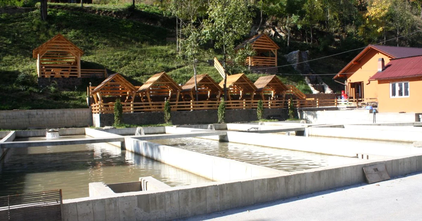Afaceri la ţară: păstrăvărie. Producţia unei păstrăvării oscilează în jurul valorii de 40 de kilograme pe metrul cub de apă anual