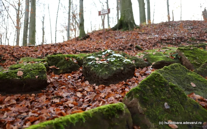 cetatea dacica piatra rosie foto adevarul daniel guta