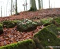 cetatea dacica piatra rosie foto adevarul daniel guta