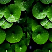 WhatsApp Image 2026 03 16 at 16 11 06 jpeg