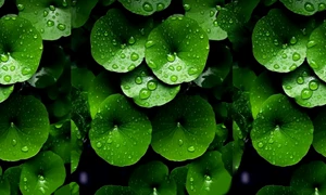 WhatsApp Image 2026 03 16 at 16 11 06 jpeg