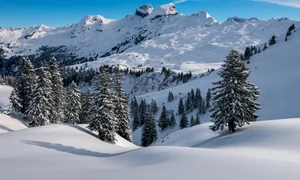 612420148 1445141590614464 2532715767225840211 n jpg