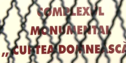 Schelet curtea Domneasca