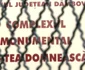 Schelet curtea Domneasca