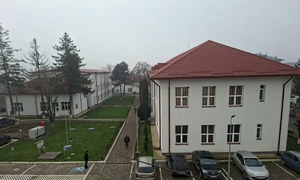 Liceul Mihai Ciuca din Saveni FOTO Cosmin Zamfirache (1) jfif