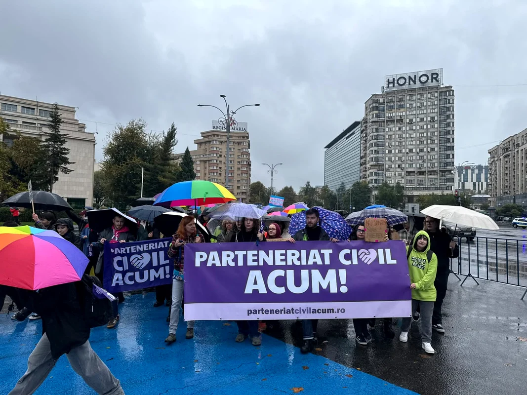 Protest „Parteneriat Civil ACUM”, în Piața Victoriei (4) jpeg