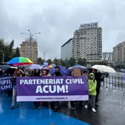 Protest „Parteneriat Civil ACUM”, în Piața Victoriei (4) jpeg