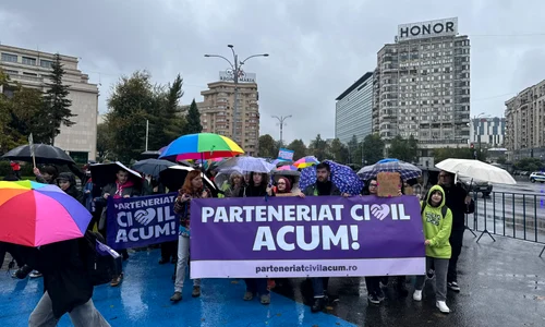 Protest „Parteneriat Civil ACUM”, în Piața Victoriei (4) jpeg