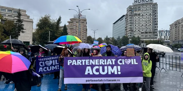 Protest „Parteneriat Civil ACUM”, în Piața Victoriei (4) jpeg
