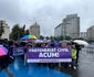 Protest „Parteneriat Civil ACUM”, în Piața Victoriei (4) jpeg