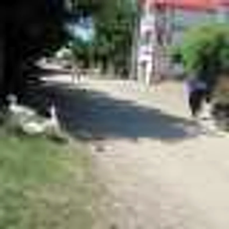 strada Armaşului