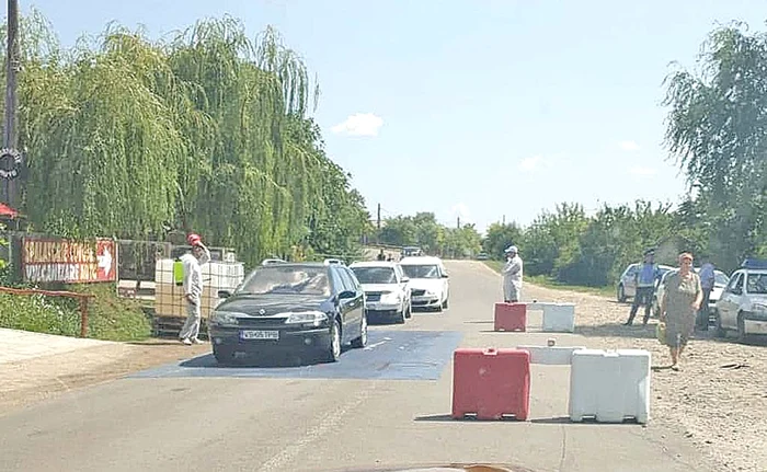 Porcii infectai trebuie omorâţi prin asomare