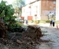 copaci scosi de pe bulevardul corvin foto daniel guta adevarul