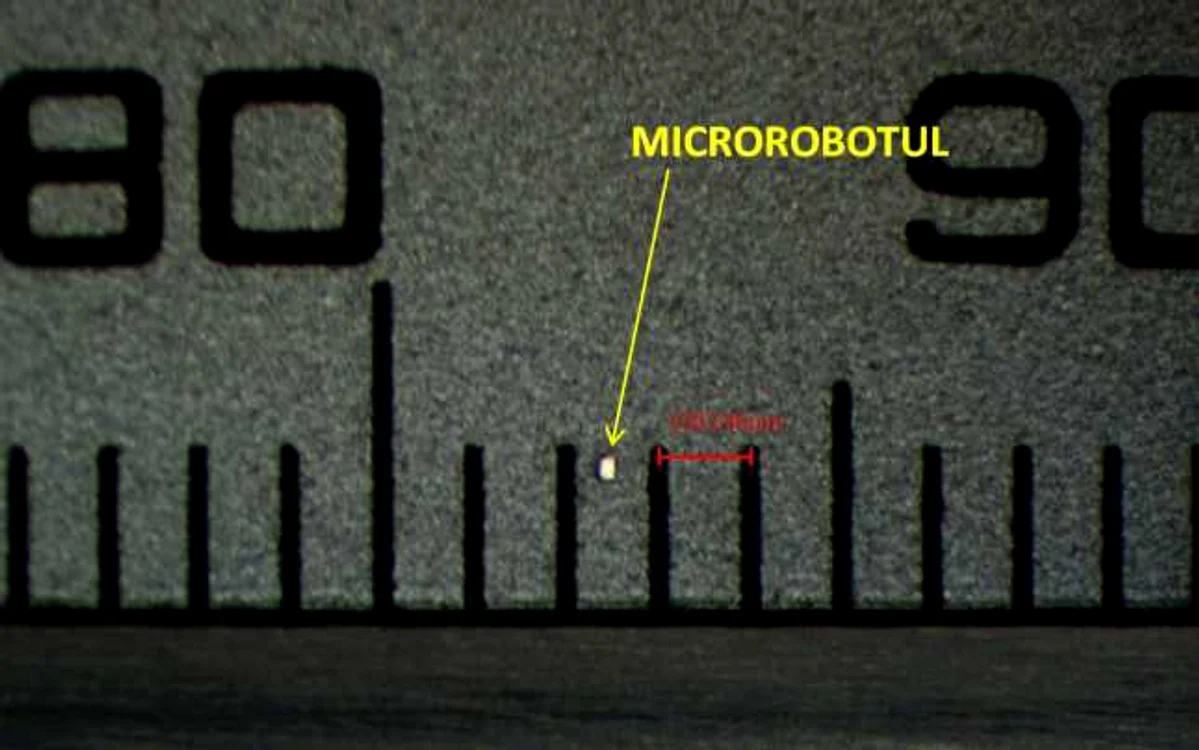 Echipa din cadrul Universităţi Valahia din Târgovişte s-a calificat, în premieră pentru România, la concursul ICRA 2015 Mobile Microrobotics Challenge